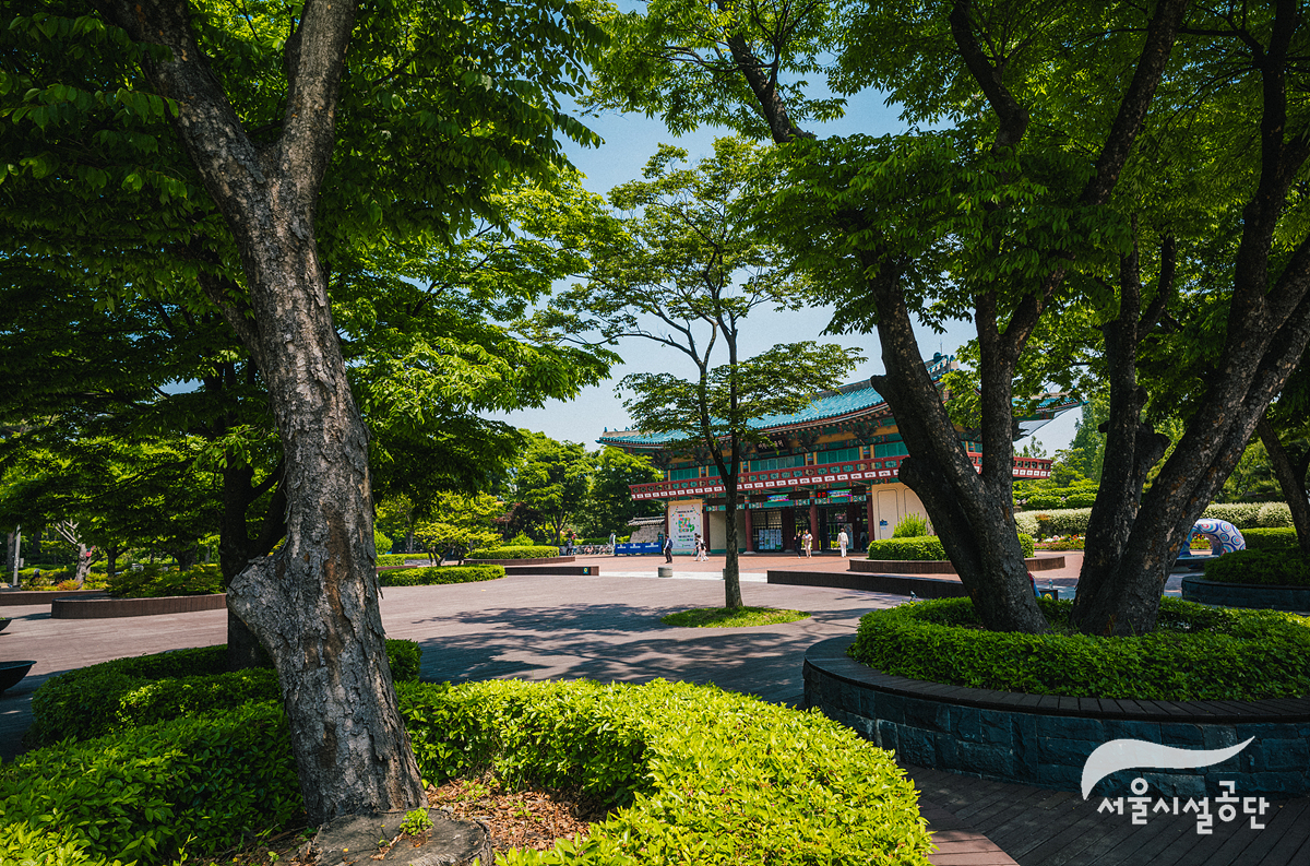 서울어린이대공원, 봄길 숲속에서 만난 풍경 사진