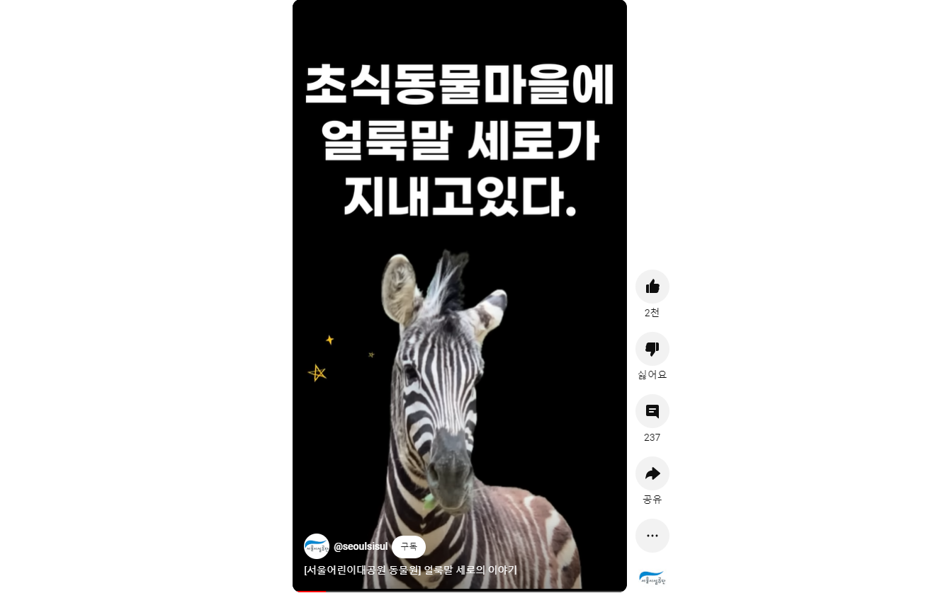 얼룩말 세로의 이야기 사진