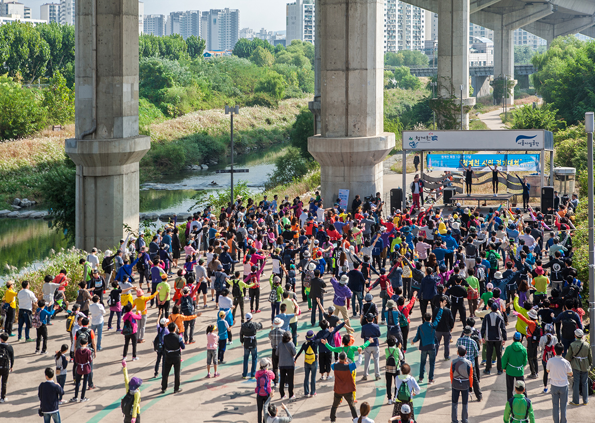 청계천 10주년 걷기대회 사진