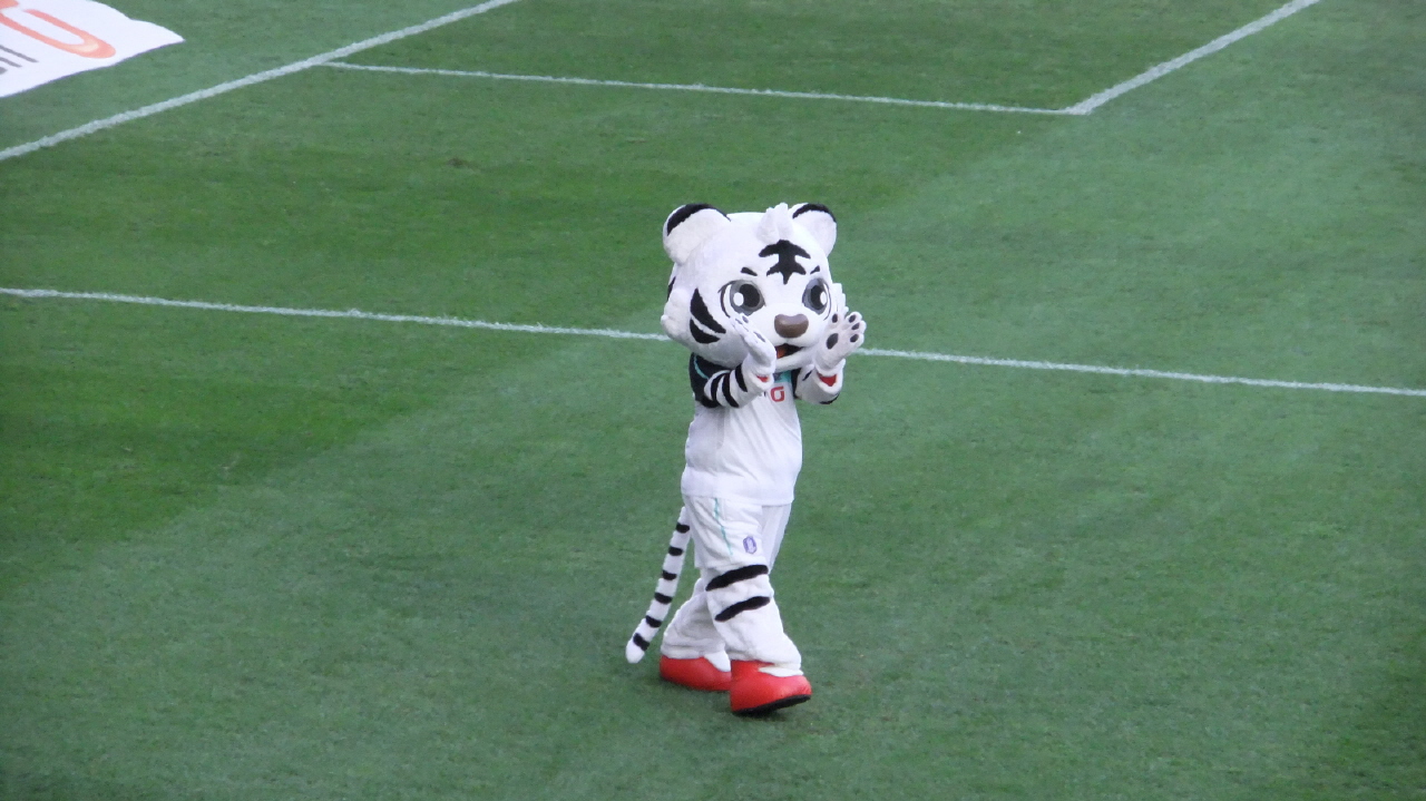 축구국가대표팀 및 올림픽대표팀 친선경기 (2011.10.7) 사진