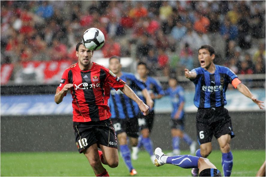 프로축구 경기!! FC서울 VS 인천유나이티드(2011.6.25) 사진