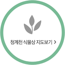 청계천 식물상 지도보기