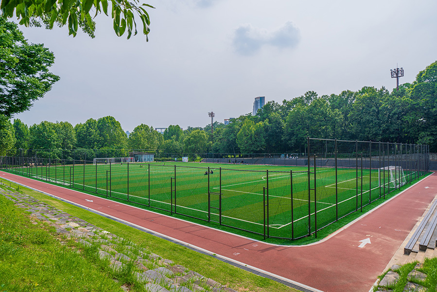 축구장(인조잔디) 사진 1